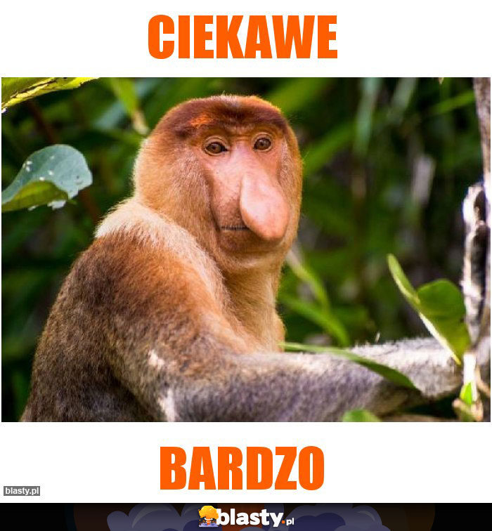 Ciekawe