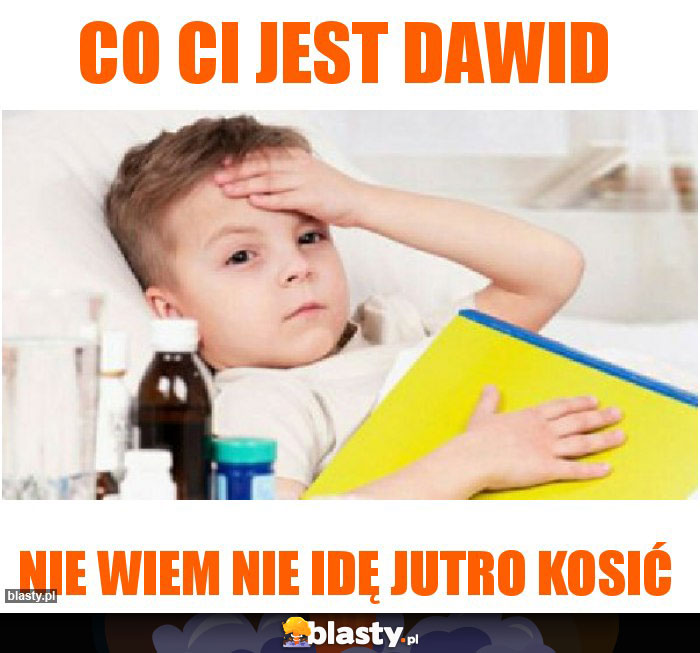 Co Ci jest dawid