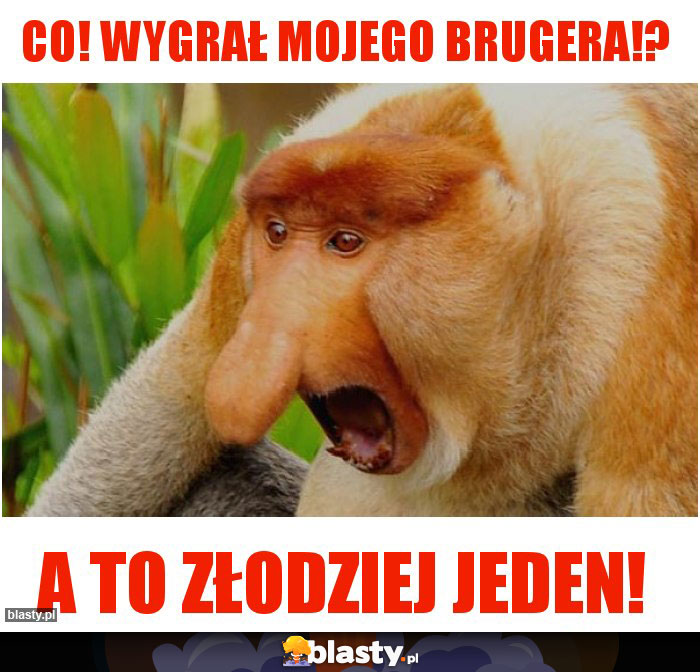 Co! Wygrał mojego brugera!?