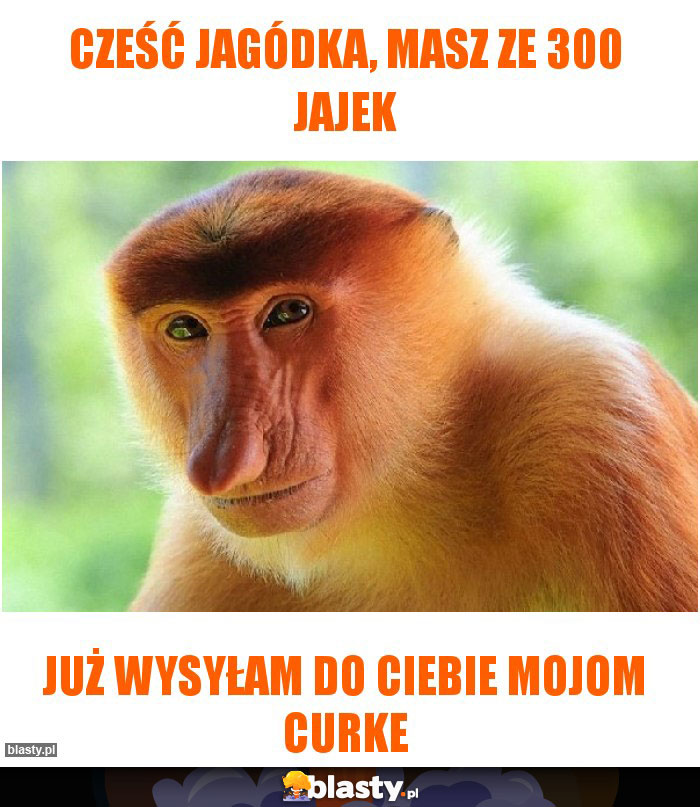 Cześć Jagódka, masz ze 300 jajek