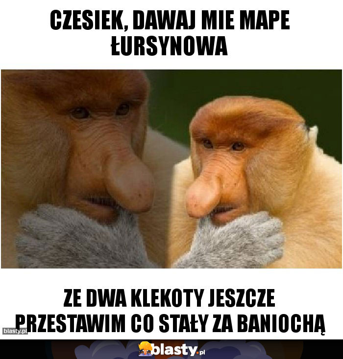 Czesiek, dawaj mie mape Łursynowa