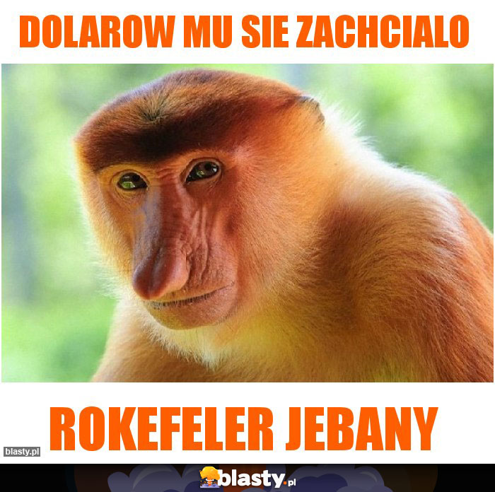 dolarow mu sie zachcialo