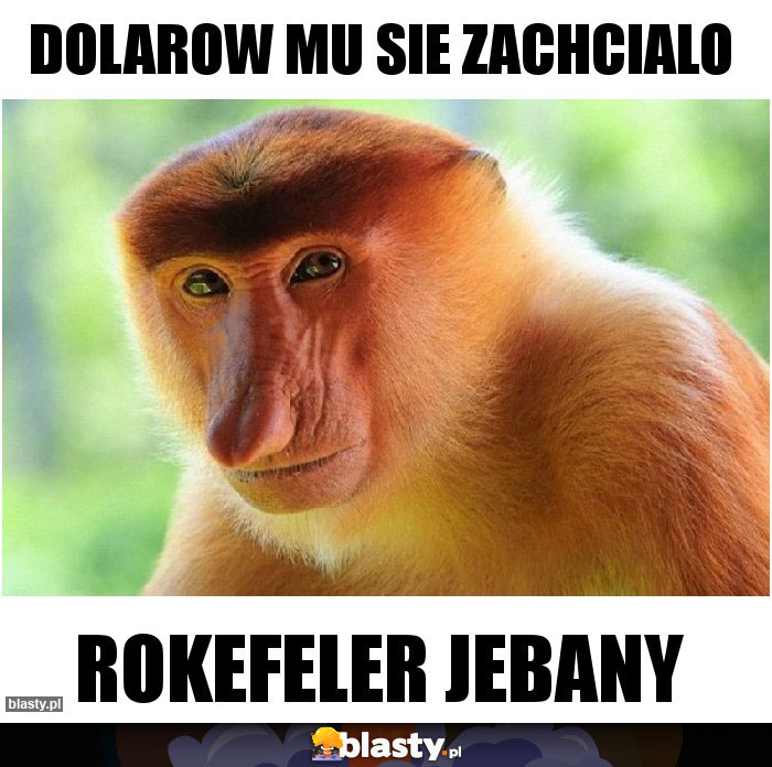 dolarow mu sie zachcialo