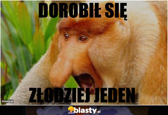 Dorobił się