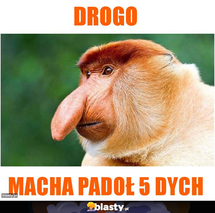 DROGO