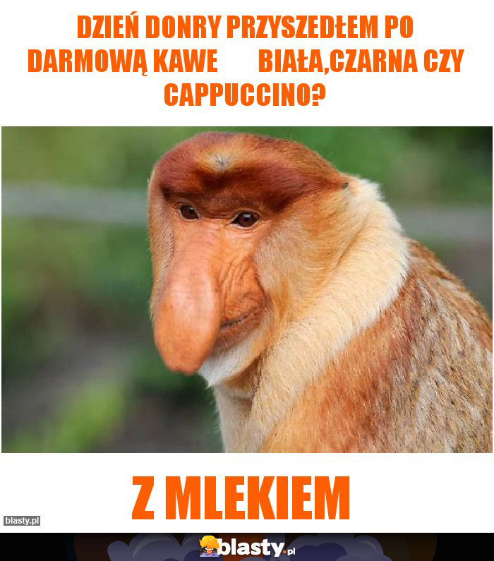 dzień donry przyszedłem po darmową kawe        Biała,czarna czy cappuccino?