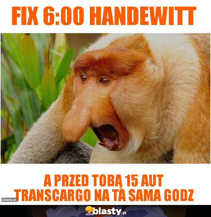 Fix 6:00 Handewitt