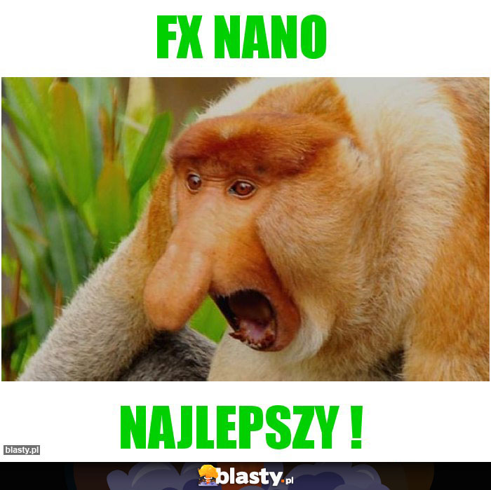 FX Nano