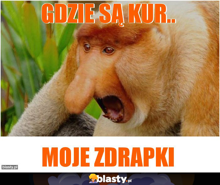 Gdzie są kur..