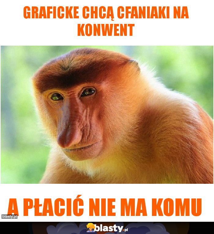 Graficke chcą cfaniaki na konwent