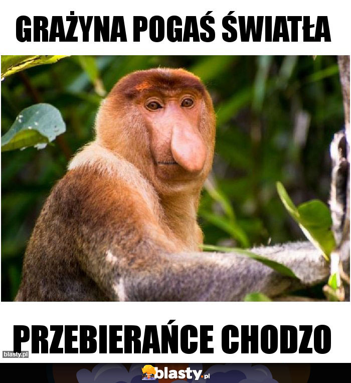 Grażyna Pogaś światła