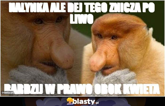 HALYNKA ALE DEJ TEGO ZNICZA PO LIWO