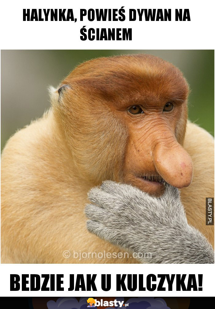 Halynka, powieś dywan na ścianem