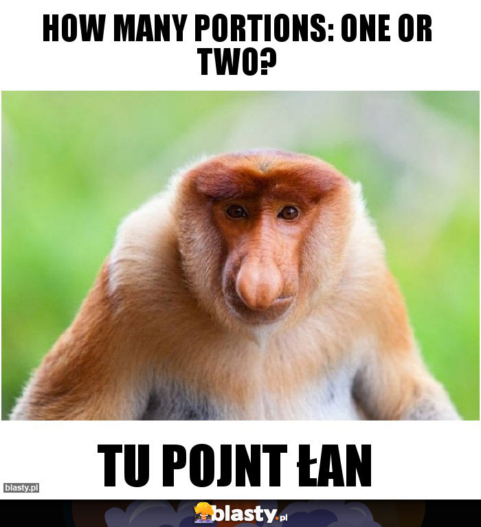 How many portions: one or two?