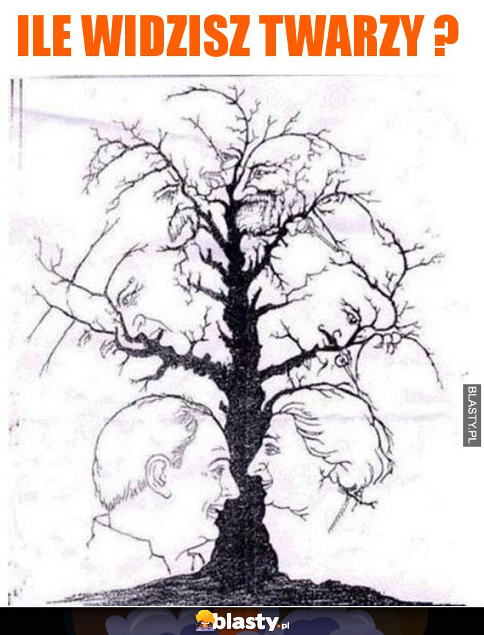 Ile widzisz twarzy ?