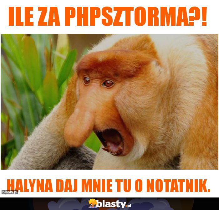 Ile za phpsztorma?!