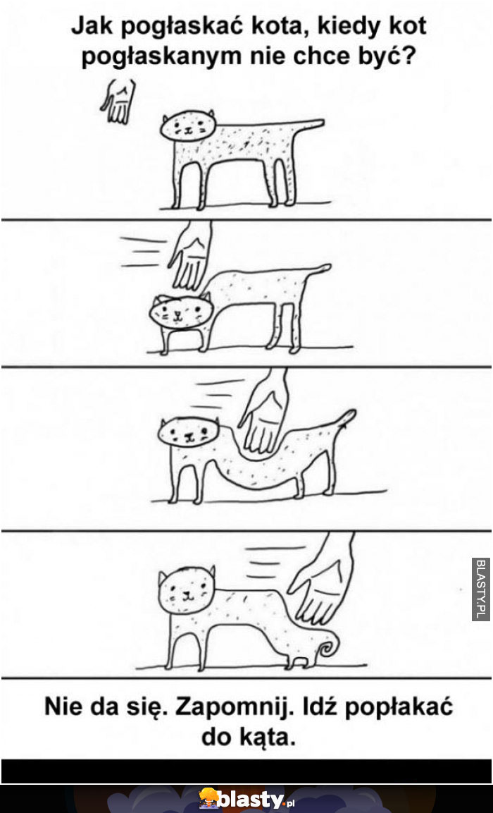 Jak pogłaskać kota