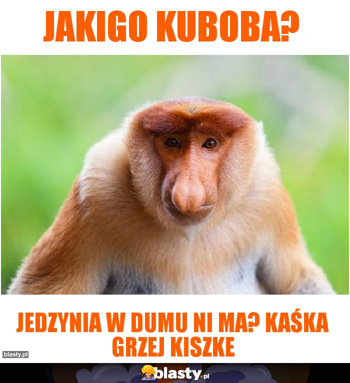 Jakigo Kuboba?
