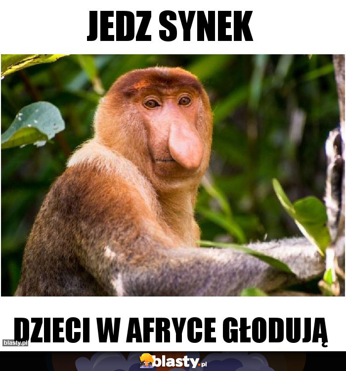 Jedz synek