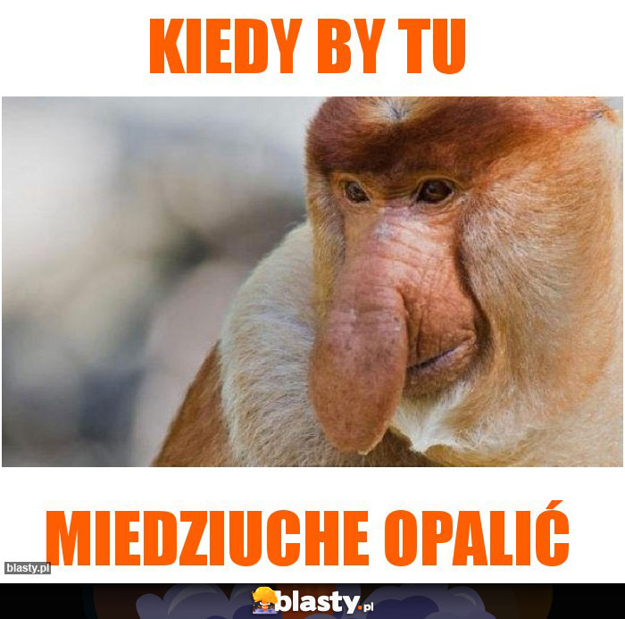 KIEDY BY TU