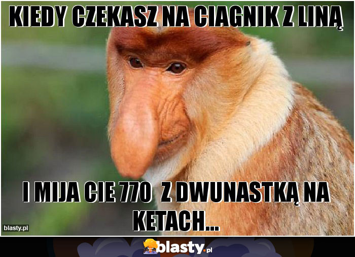 kiedy czekasz na ciagnik z liną
