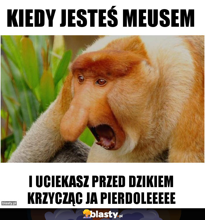 Kiedy jesteś meusem