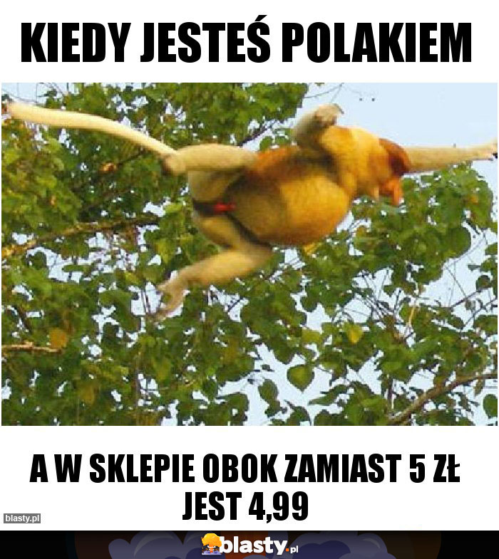 Kiedy jesteś Polakiem