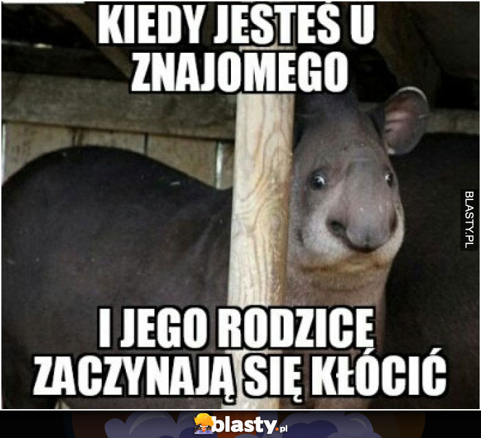 Kiedy jesteś u znajomego