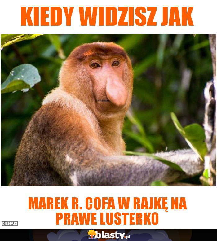 Kiedy widzisz jak