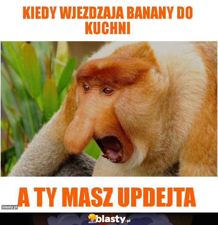 Kiedy wjezdzaja banany do kuchni