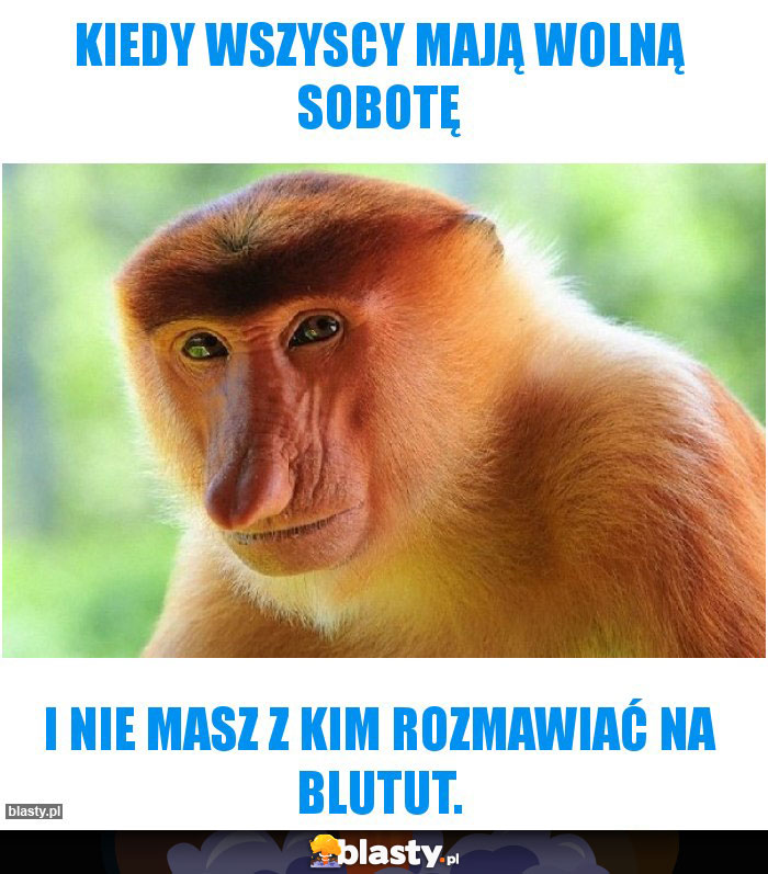 Kiedy wszyscy mają wolną sobotę