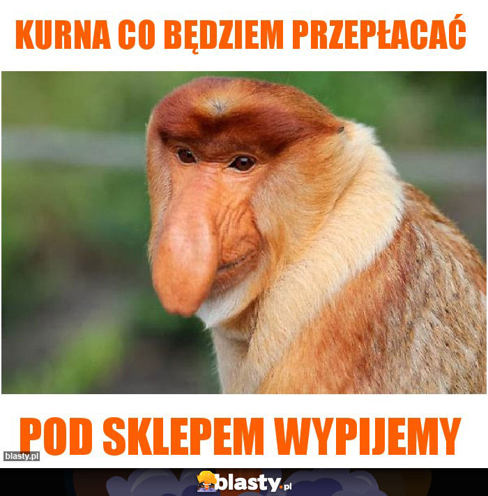 Kurna co będziem przepłacać