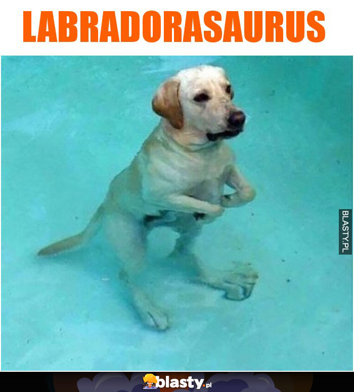 Labradorasaurus