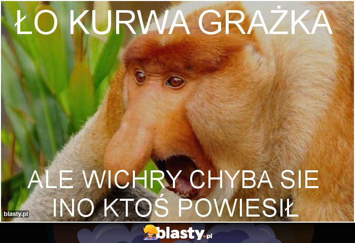 ło kurwa grażka
