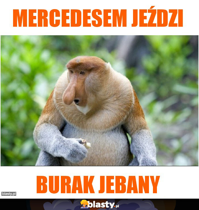 Mercedesem jeździ