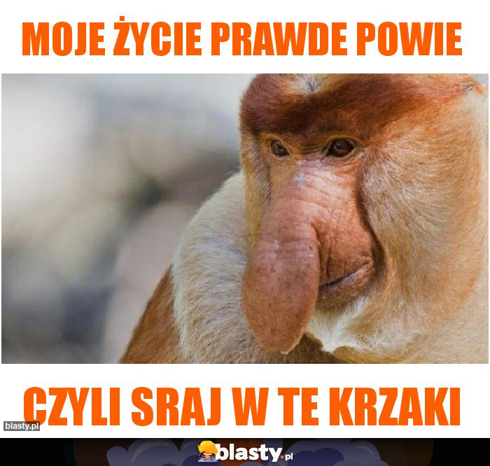 Moje życie prawde powie