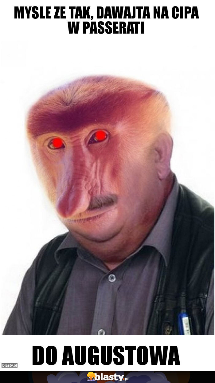 Mysle ze tak, dawajta na cipa w passerati