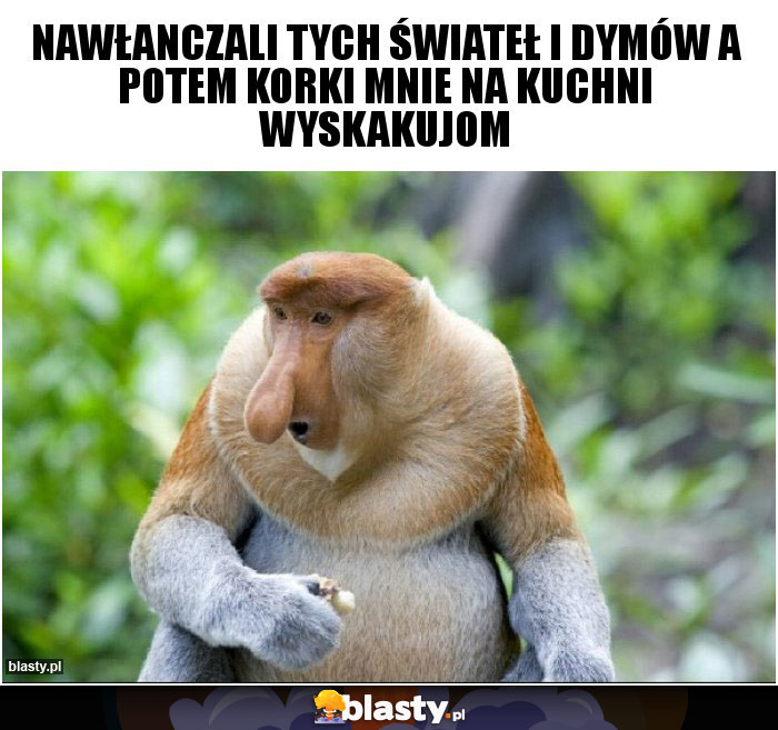 Nawłanczali tych świateł i dymów a potem korki mnie na kuchni wyskakujom