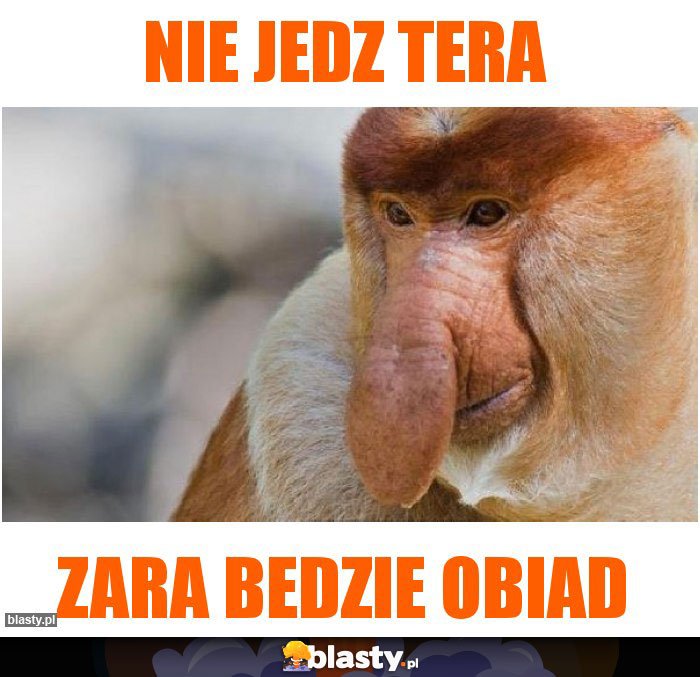 Nie jedz tera
