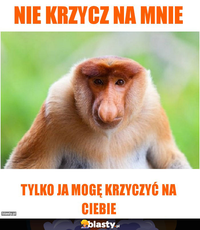 Nie krzycz na mnie