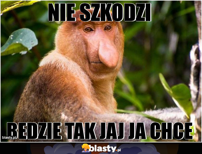 NIE SZKODZI