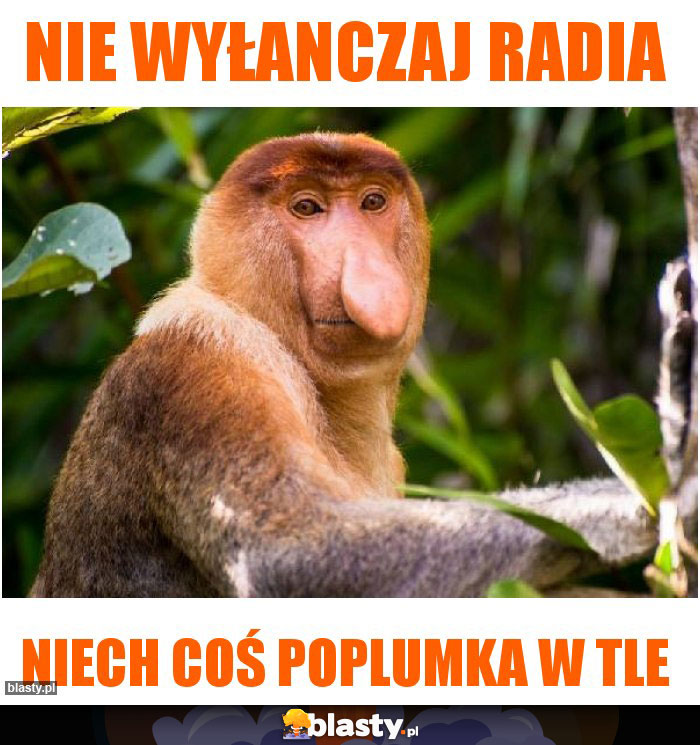 NIE WYŁANCZAJ RADIA