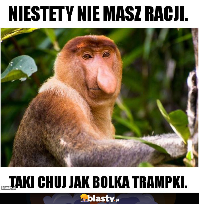 Niestety nie masz racji.