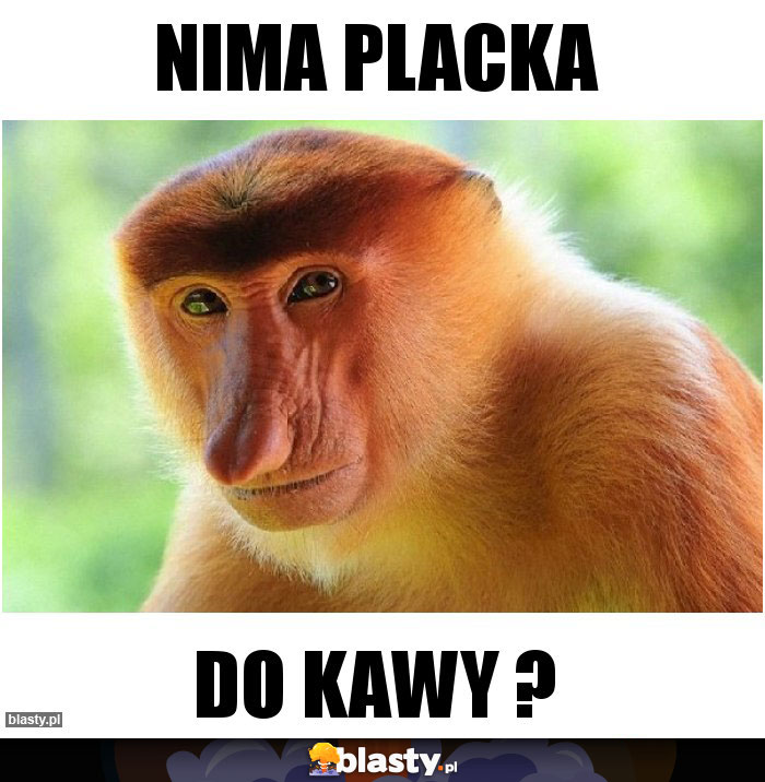 Nima placka