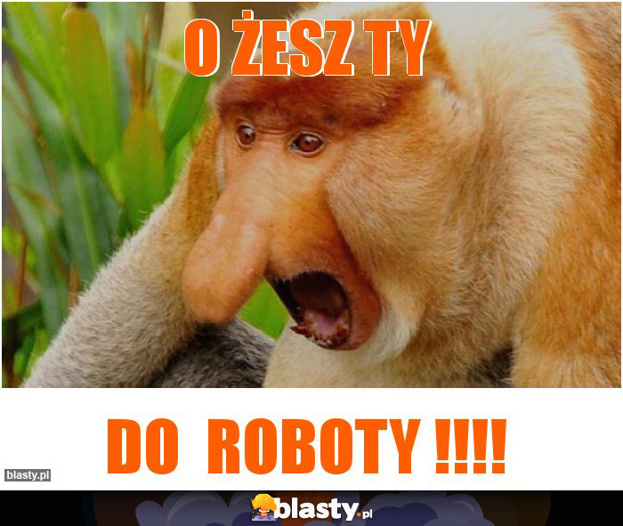 O żesz ty