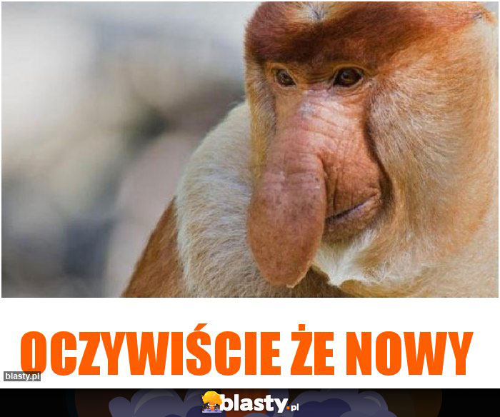 oczywiście że nowy