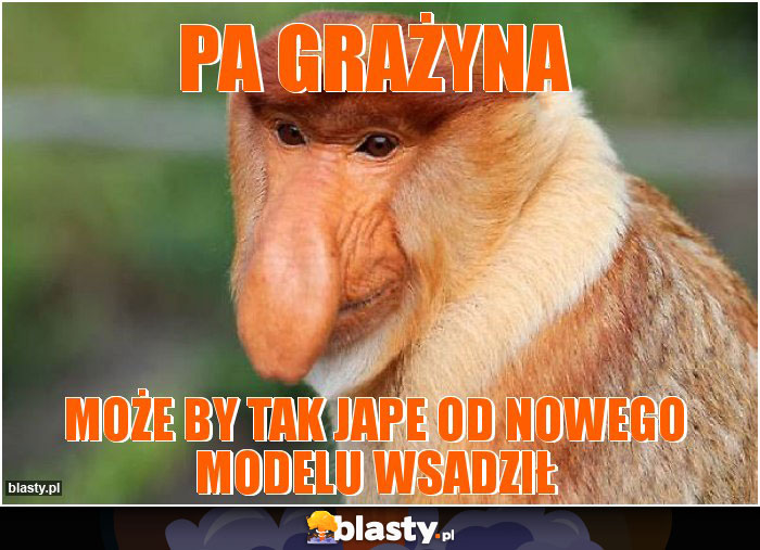 PA GRAŻYNA