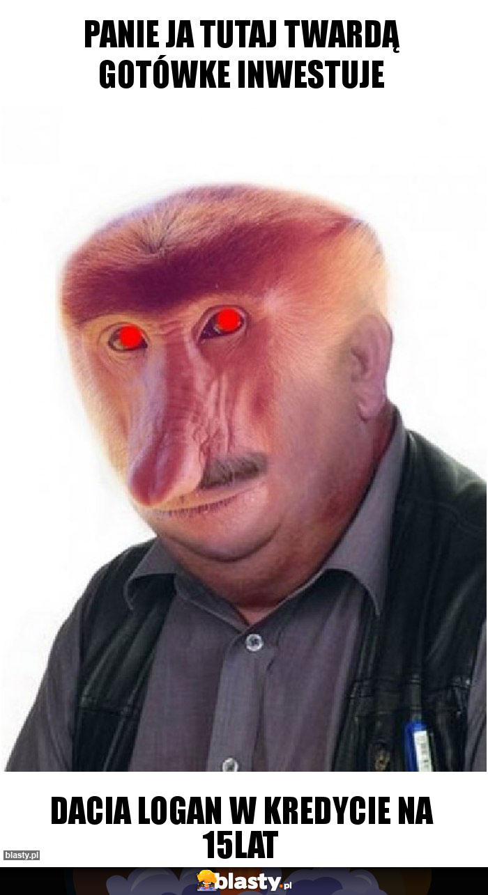 PANIE JA TUTAJ TWARDĄ GOTÓWKE INWESTUJE