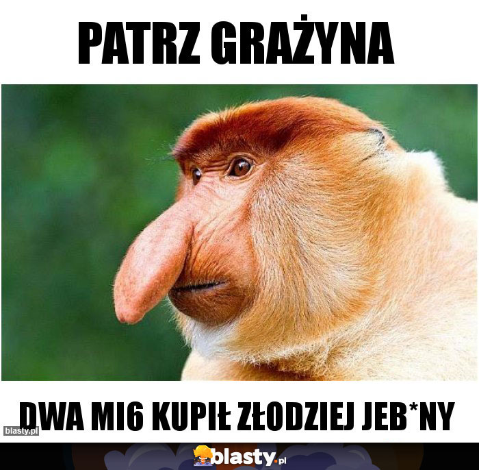 Patrz Grażyna
