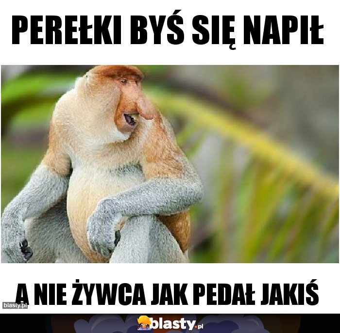 Perełki byś się napił
